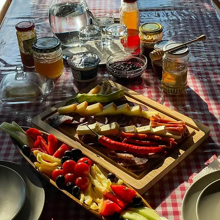 Cabana La Domnu' De Pe Vale Holiday home *